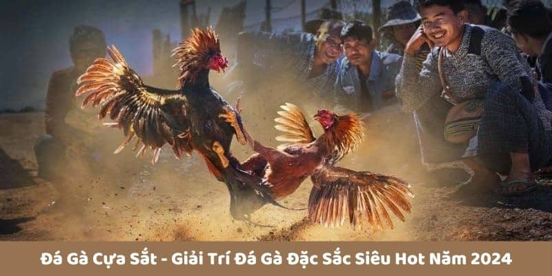 Đá Gà Cựa Sắt